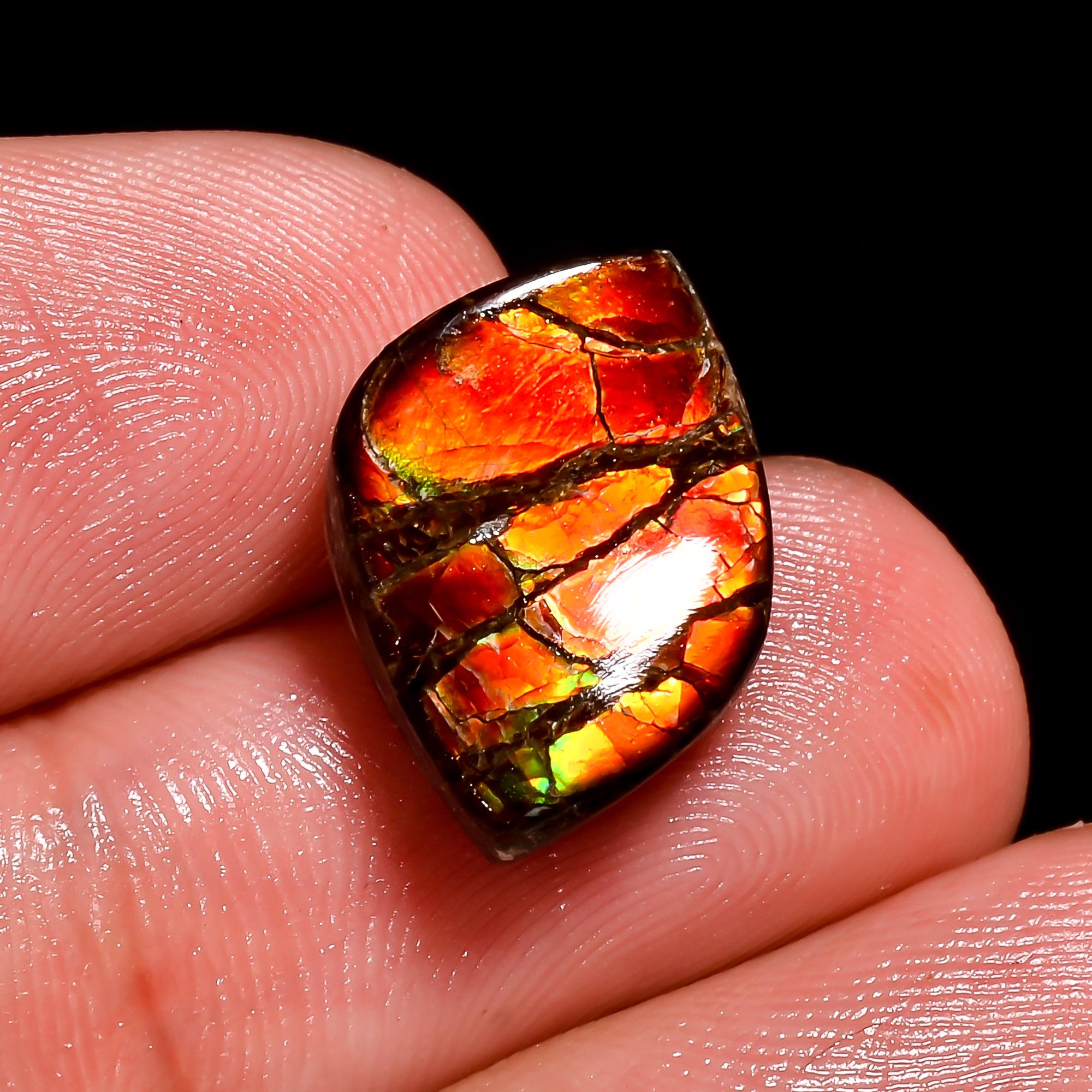 見事なアンモライト、最高級品質、100%天然アンモライト、ファンシー