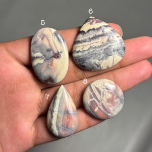 May include: Four polished gemstones in various shapes: oval, teardrop, and round. The stones display a mix of colors, including cream, gray, and burgundy, with unique veining patterns. The gemstones are held in a hand.