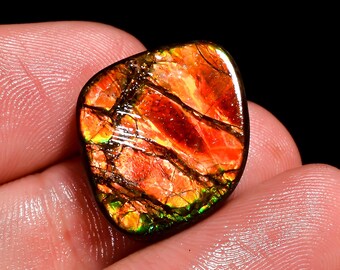 Incredible Ammolite Top Grade Quality 100% Natural Ammolite Fancy Shape Cabochon Loose Gemstone For Making Jewelry 17.5Ct. 16X15X5mm H-10147
