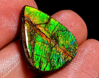Immaculate Top Grade Quality 100% Natural Ammolite Pear Shape Cabochon Loose Gemstone For Making Jewelry 12.00 Ct. 20X17X4 mm H-6555