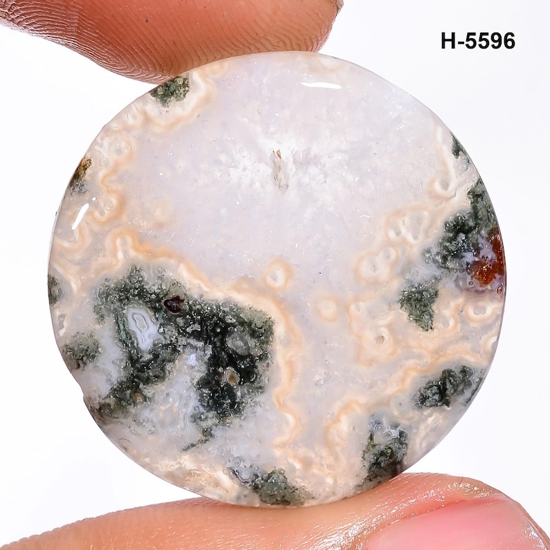 May include: A round, polished gemstone with a white base, featuring intricate patterns of beige and dark green. The stone has a smooth surface and a natural, organic appearance. The text "H-5596" is visible in the upper right corner.