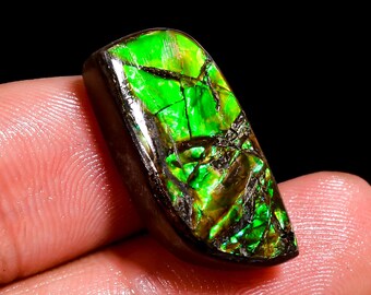 Fabulous Top Grade Quality 100% Natural Ammolite Fancy Shape Cabochon Loose Gemstone For Making Jewelry 13.5 Ct. 21X10X5 mm H-6552