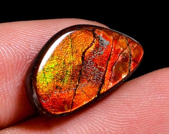 Gorgeous Top Grade Quality 100% Natural Ammolite Fancy Shape Cabochon Loose Gemstone For Making Jewelry 9.00 Ct. 18X11X4 mm H-6535