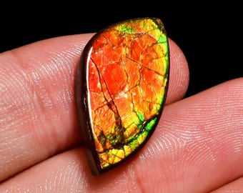 Fabulous Ammolite Top Grade Quality 100% Natural Ammolite Fancy Shape Cabochon Loose Gemstone For Making Jewelry 15.5 Ct. 24X12X5 mm H-10159