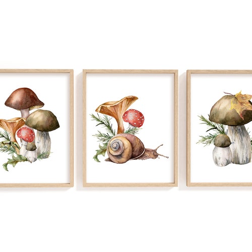 Mushroom Print Set of 3 Art Antique Beautiful Botanical Beige - Etsy