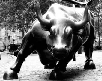 May include: A black and white photograph of a large bronze bull statue in a city setting. The bull is facing the camera with its head lowered and its horns pointed forward. The statue is standing on a cobblestone street with trees and buildings in the background.