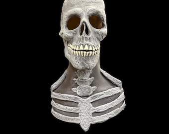 Skeleton (adult)