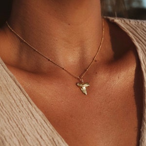 Shark Tooth Necklace - Gold Plated Pendant - Beach Jewelry - 14k Gold Filled Chain