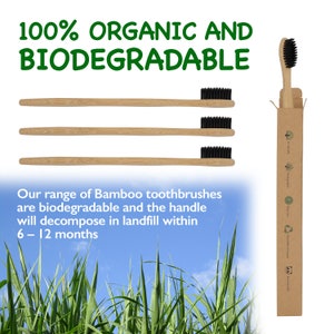 May include: Three bamboo toothbrushes with black bristles, packaged in a cardboard box. The box is labeled "100% Organic and Biodegradable". The toothbrushes are biodegradable and will decompose in landfill within 6-12 months.