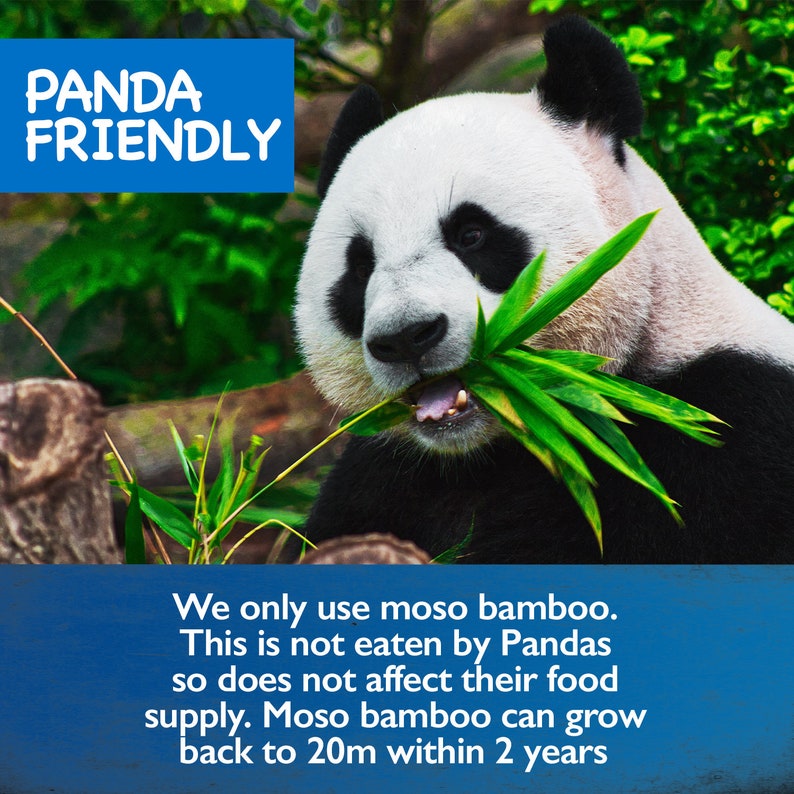 May include: A panda bear eating bamboo with the text "PANDA FRIENDLY" in a blue box. The text below the panda reads "We only use moso bamboo. This is not eaten by Pandas so does not affect their food supply. Moso bamboo can grow back to 20m within 2 years."