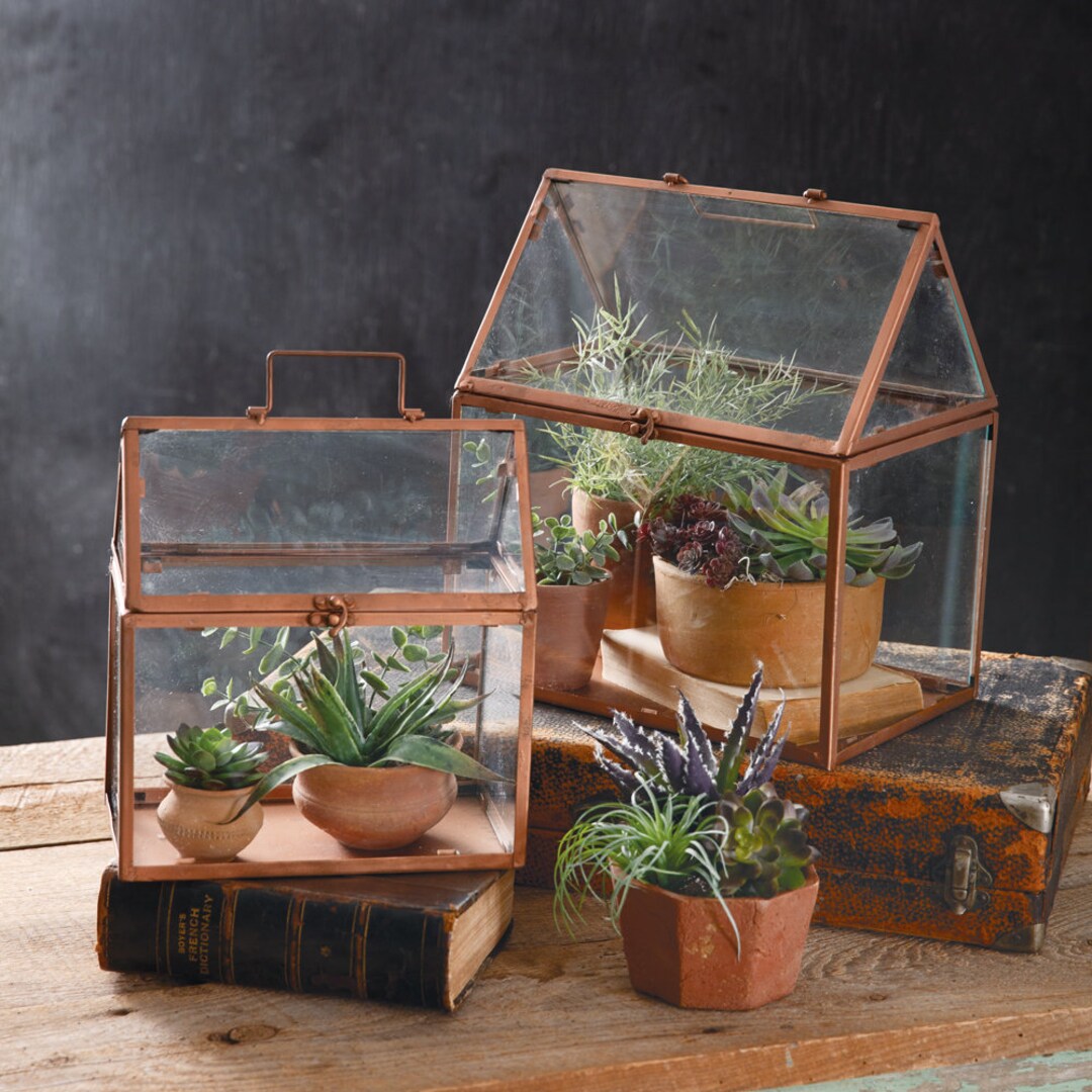 Victorian Greenhouse Terrariums set of 2 Etsy