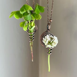Puede incluir: Dos collares colgantes de alambre de cobre, cada uno con un elemento botánico diferente. Uno contiene una ramita de trébol verde, el otro una flor de trébol blanco. Los collares cuelgan de delicadas cadenas de cobre.