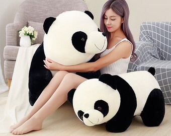cute teddy panda
