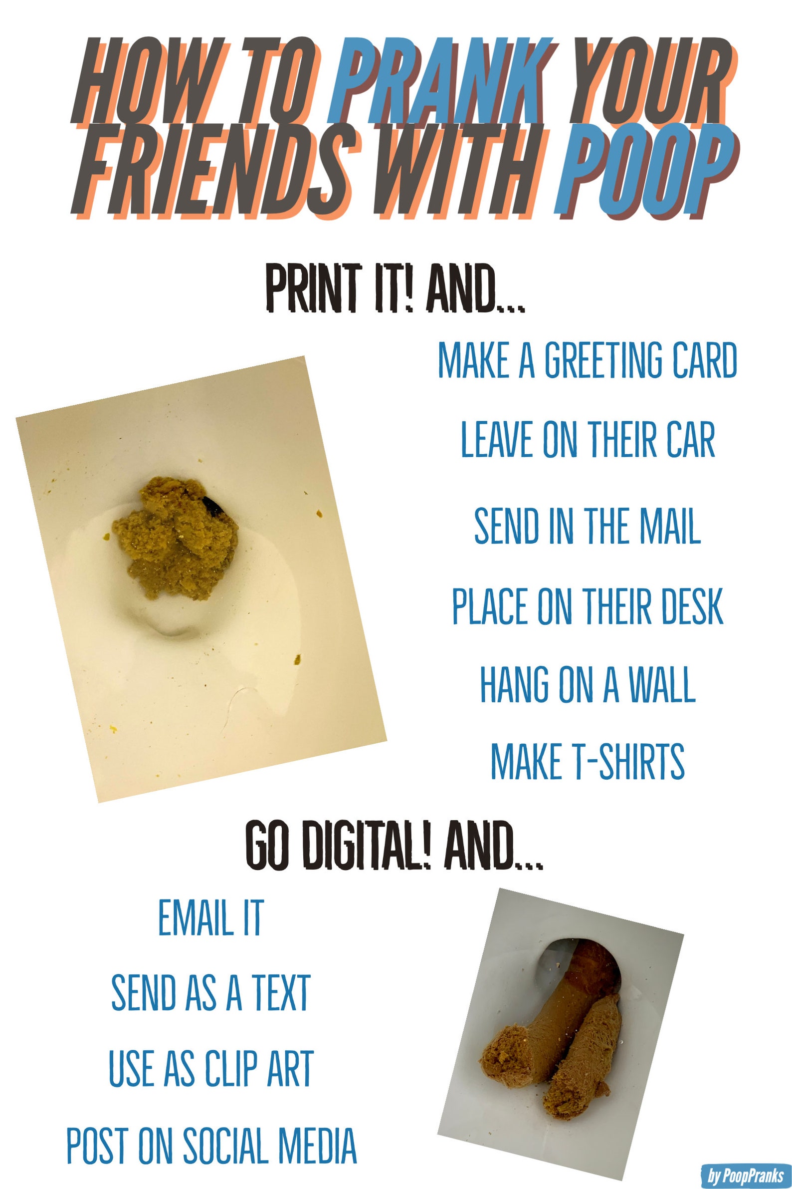 Poop Prank Prank Mail Poop for Sale Poop Text Message - Etsy Canada