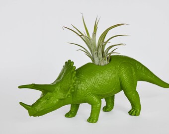 TRICERATOPS 2 - small planter -