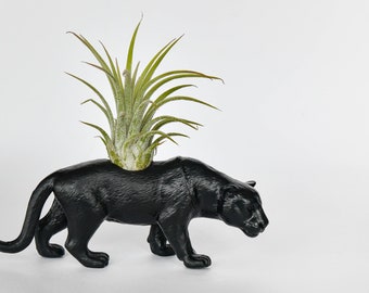 PANTHER - small planter -