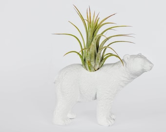POLAR BEAR - small planter - Color of your choice -