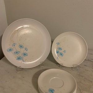 Vintage Turquoise Floral Melamine plate set