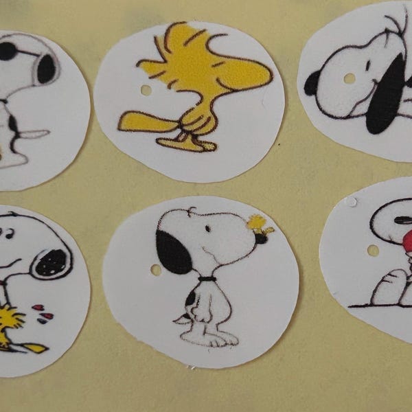 X 6 Dexcom 7 Stickers