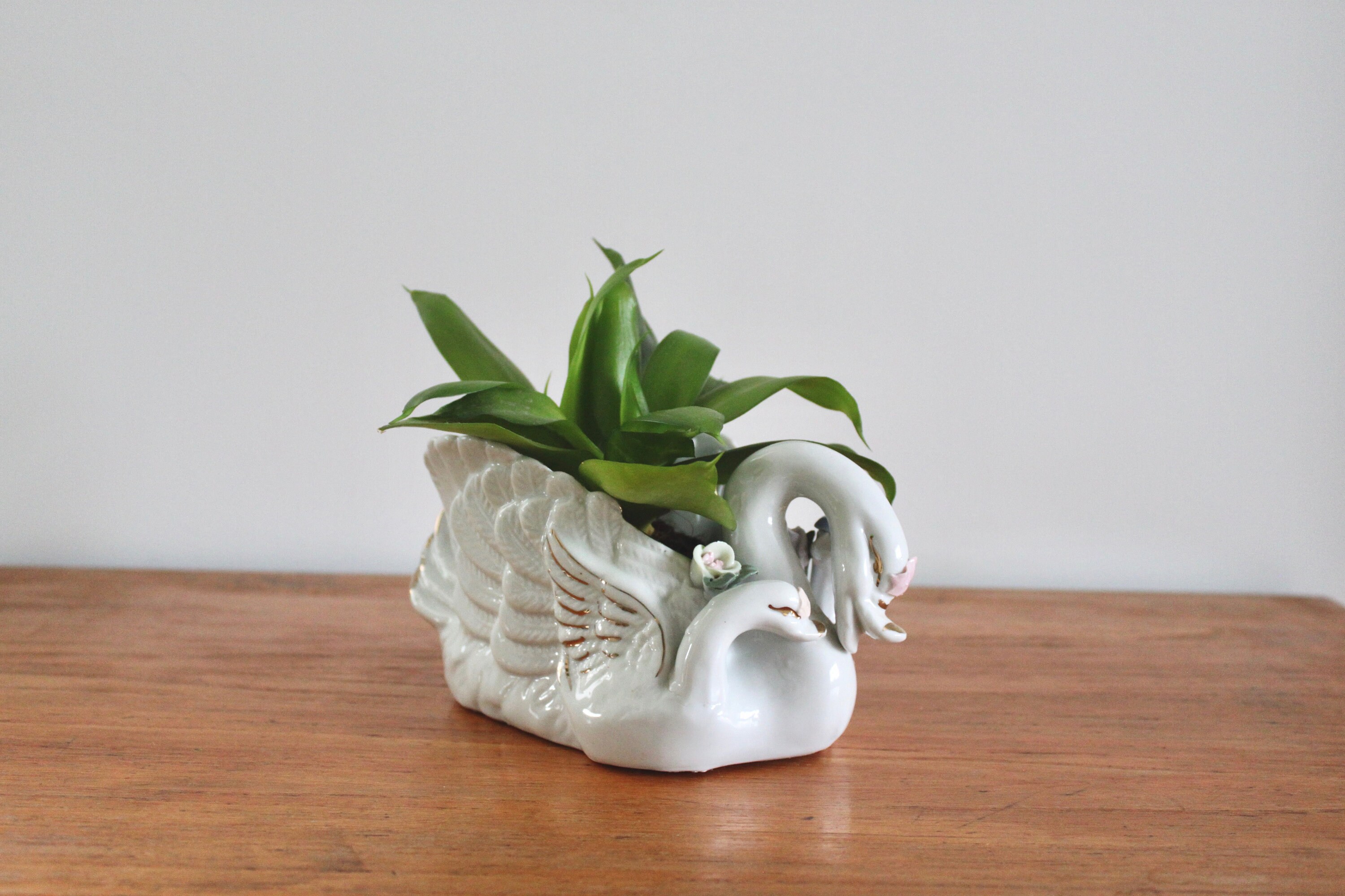 Swan Plant Pot with Two Gold Detailing and Flowers Etsy