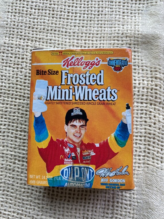 1 - 1995 Jeff Gordon and Terry Labonte Kellogg's Frosted Mini