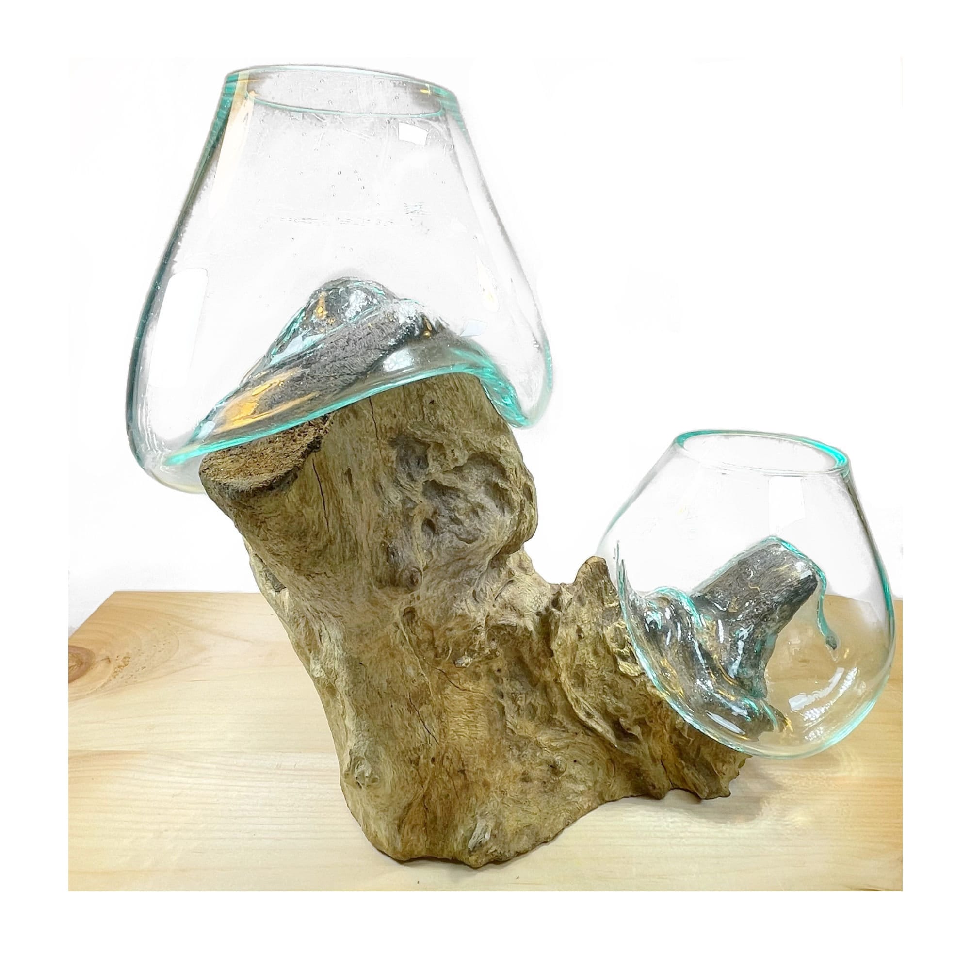 Double Vase Molten Glass on Driftwood Large Terrarium Vase Etsy