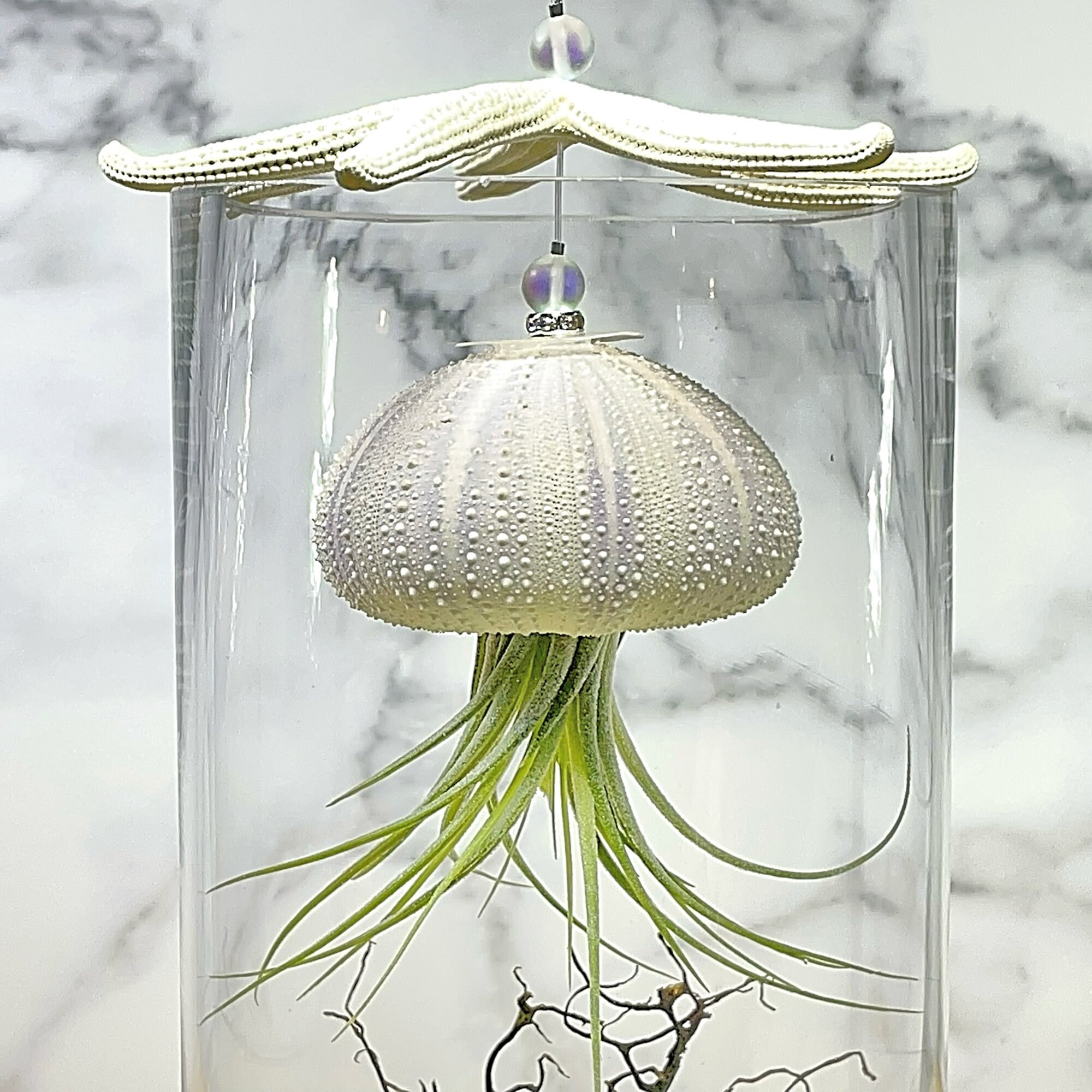 Floating Jellyfish Terrarium Healing Stones, Peridot Joy, Happiness
