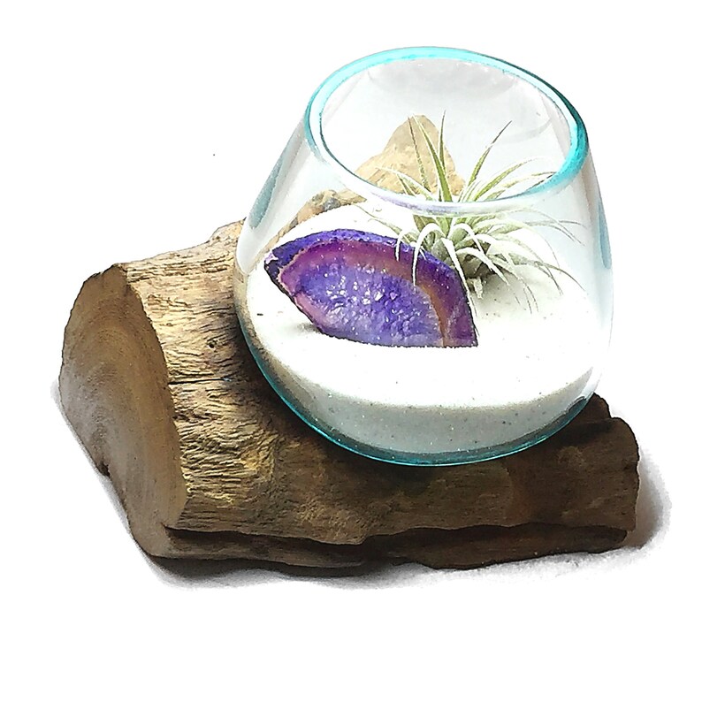 Air Plant Terrarium Molten Glass Driftwood Vase Agate ...