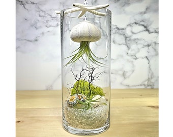Terrarium Floating Jellyfish Healing Stones, Clear Crystal Quartz - Clarity, Live Air Plant Genuine Coral Complete Kit In 9in Cylinder Vase