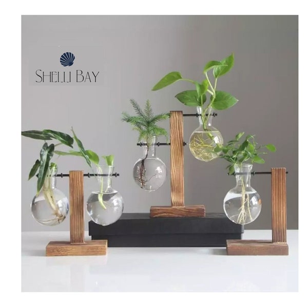 Glass Vase Plant Propagation Station with wooden stand, Glass propagation stand, Vintage style propagation stand  vase hydroponic glass vase