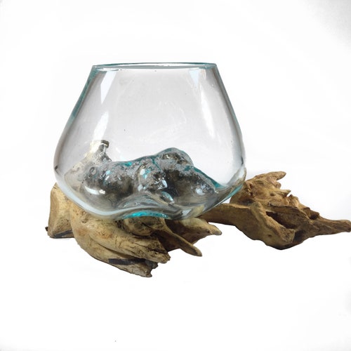 Molten Glass on Driftwood Small 5" to 5" H x 6" L Terrarium, Vase, Fairy Garden Hand Blown