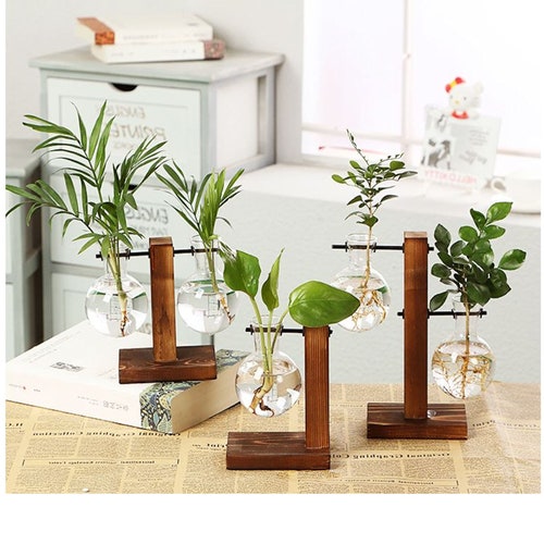 Glass Vase Plant Propagation Station With Wooden Stand Glass Etsy