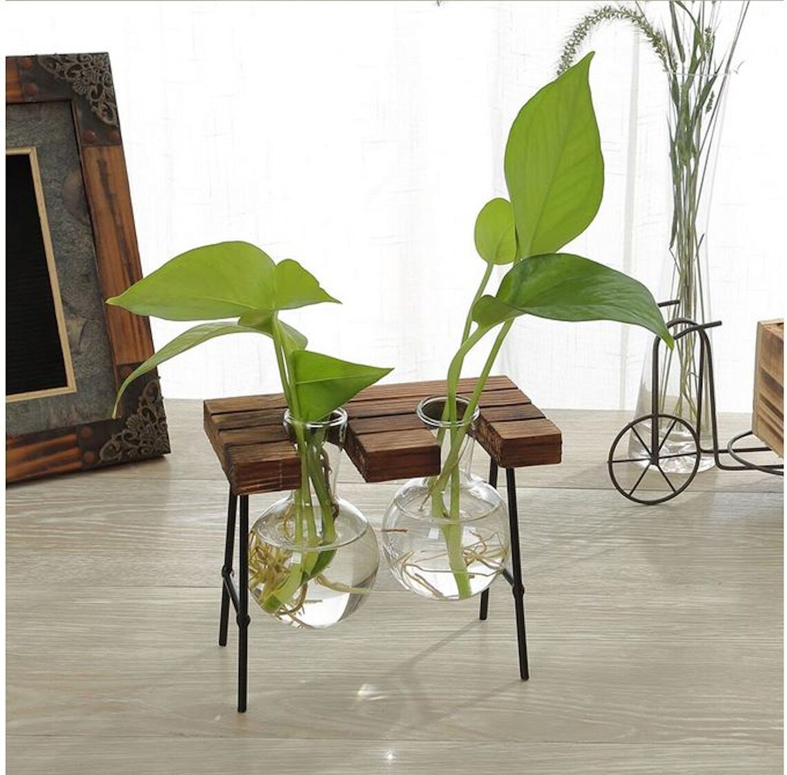 Glass Vase Plant Propagation Station With Wooden Stand Glass Etsy