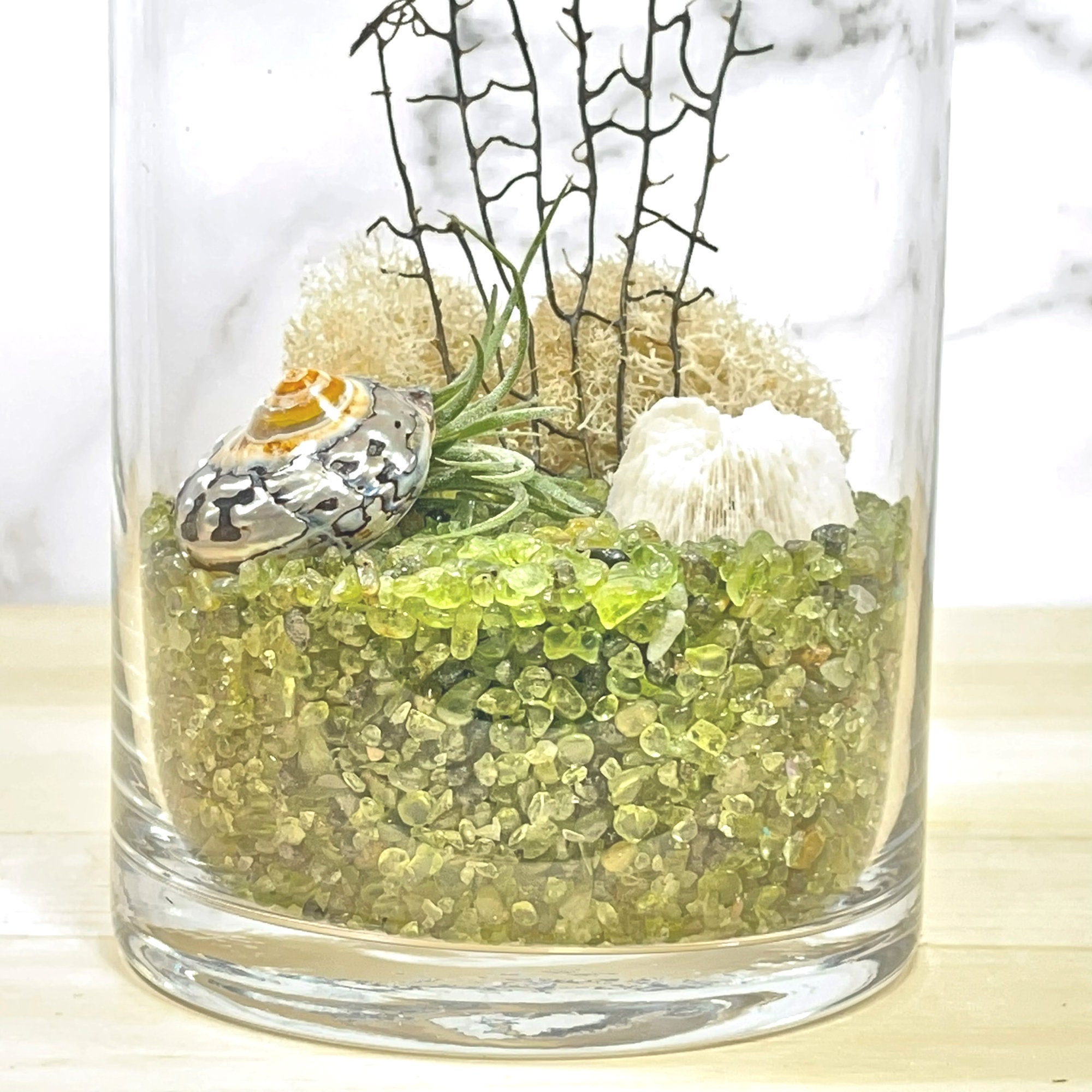 Floating Jellyfish Terrarium Healing Stones Peridot Joy Etsy