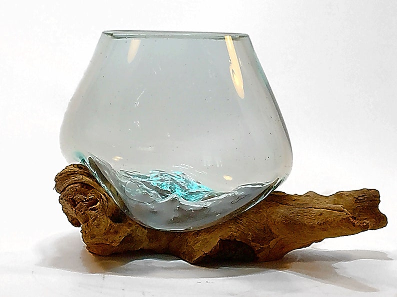 Molten Glass on Driftwood 7 x 6 Terrarium Vase Etsy