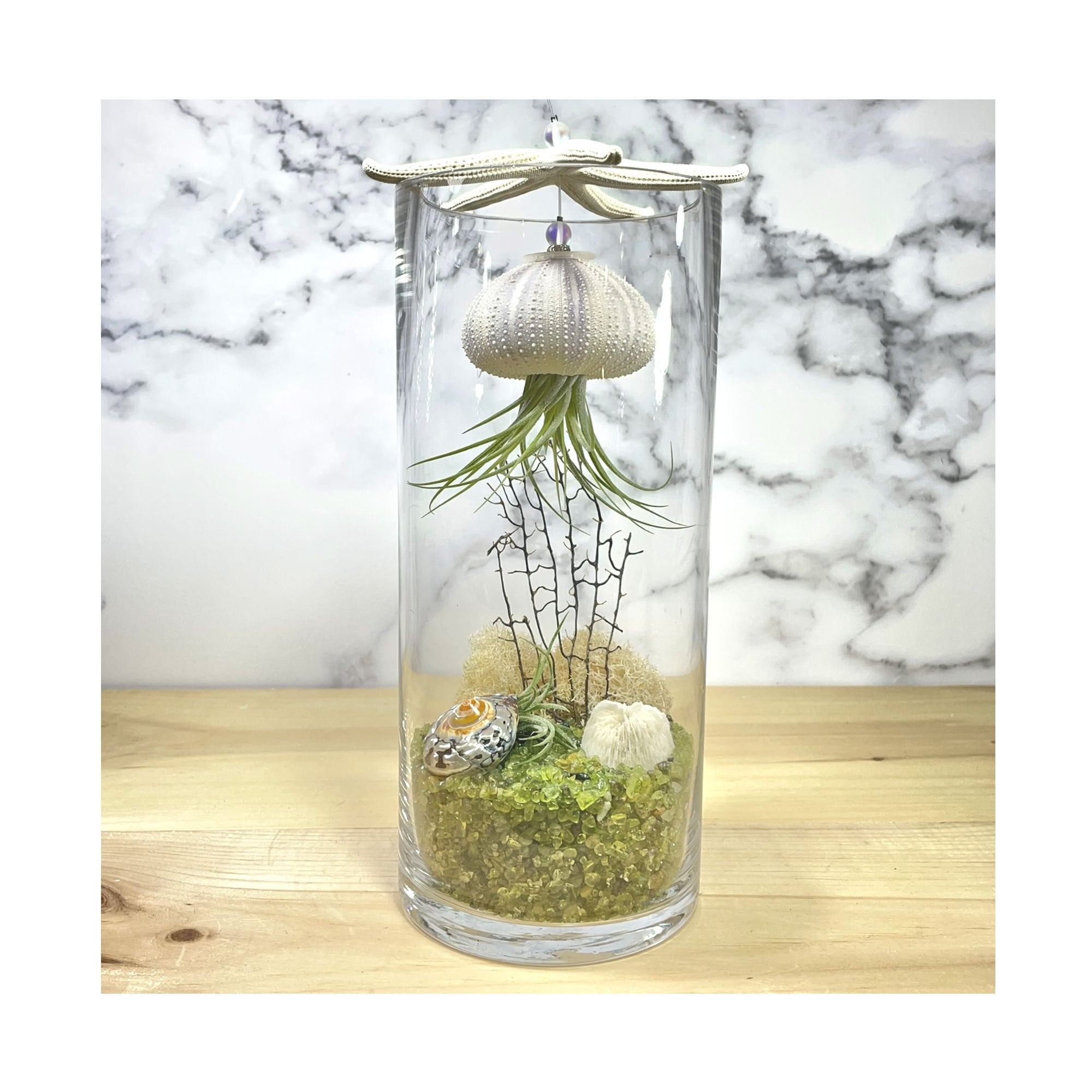 Floating Jellyfish Terrarium Healing Stones, Peridot Joy, Happiness