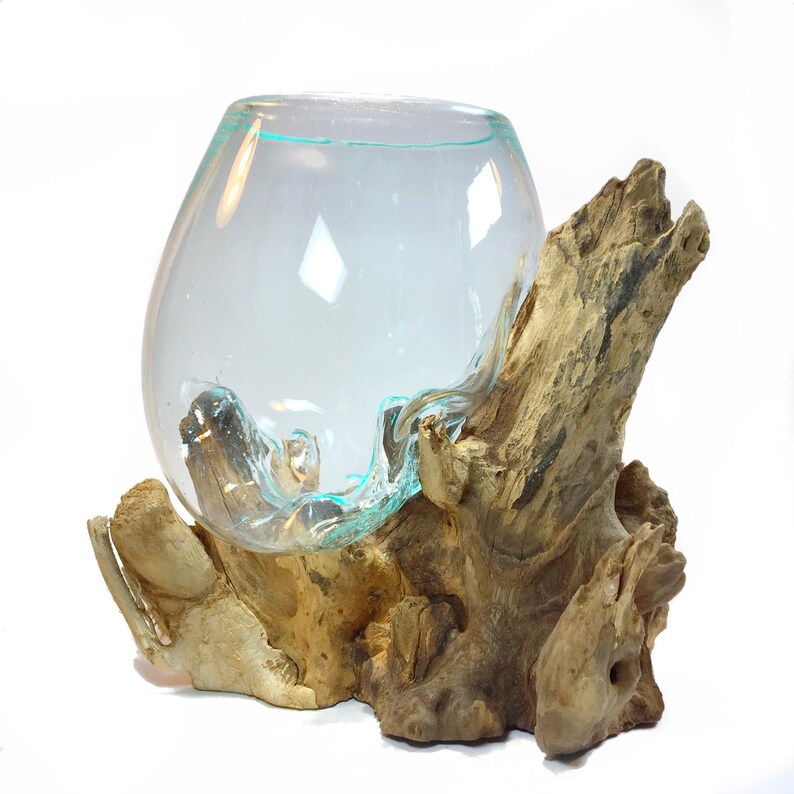 10 Molten Glass on Driftwood Large Terrarium Vase Etsy