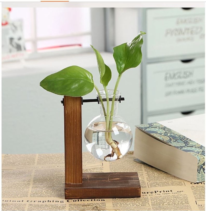 Glass Vase Plant Propagation Station With Wooden Stand Glass Etsy