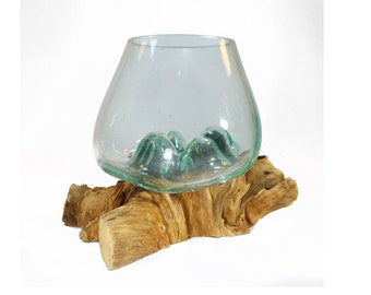 Molten Glass on Driftwood 7" x 6" Terrarium, Vase, Fairy Garden Hand Blown