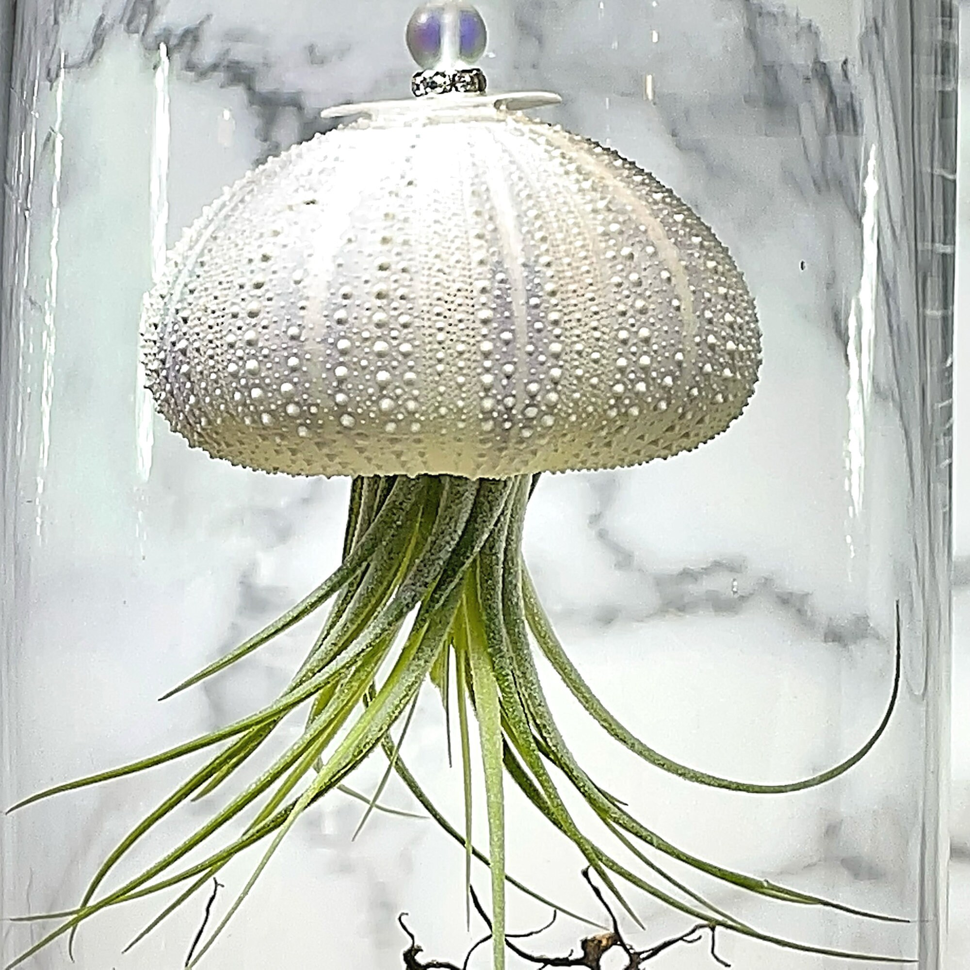 Floating Jellyfish Terrarium Healing Stones Peridot Joy Etsy