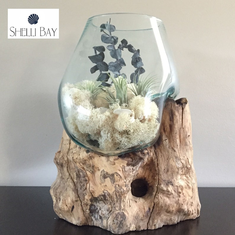 14 Molten Glass on Driftwood Large Terrarium Vase Etsy