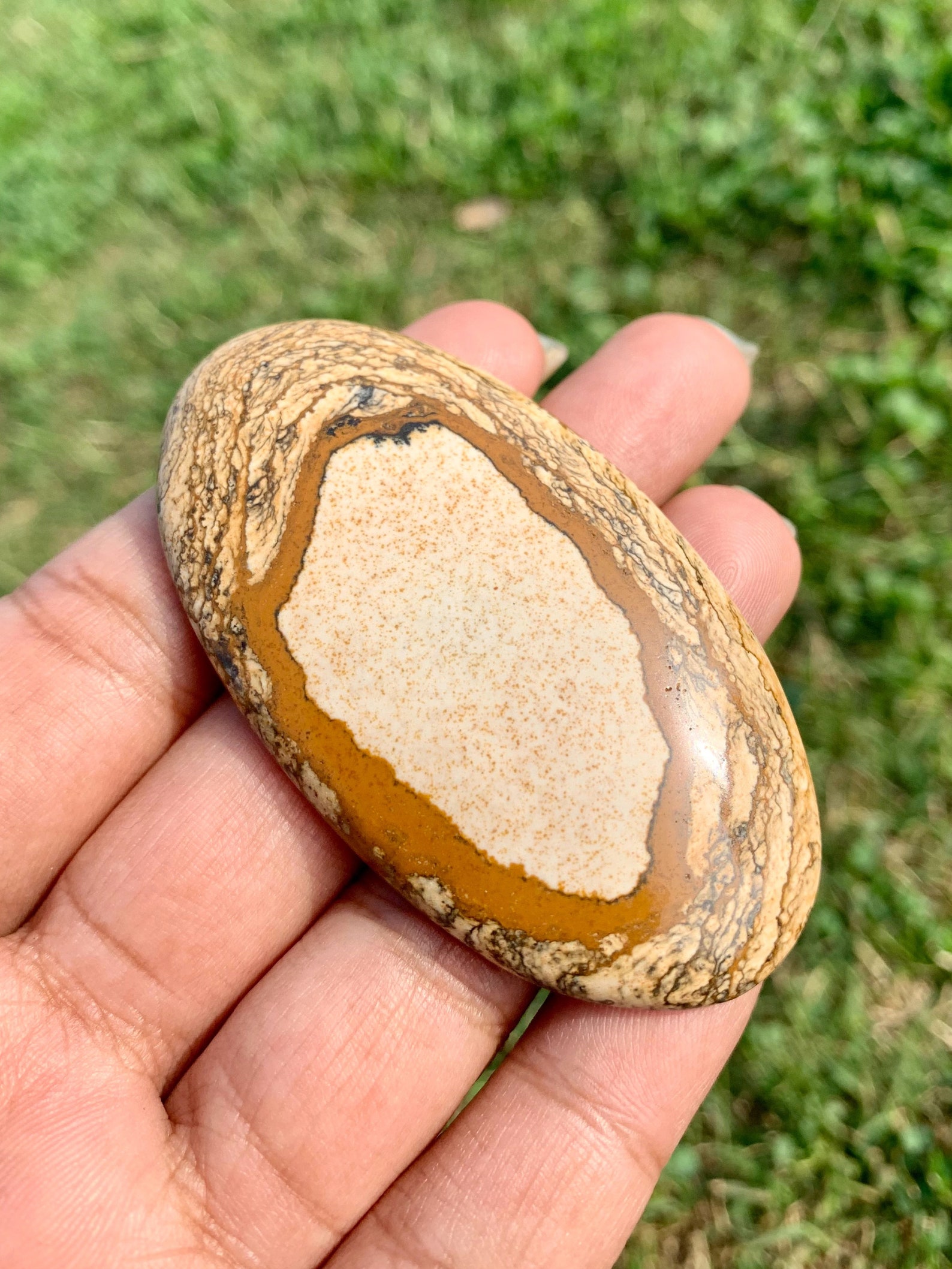 Top Rare 100 Natural Picture Jasper Cabochon Picture Jasper Etsy UK