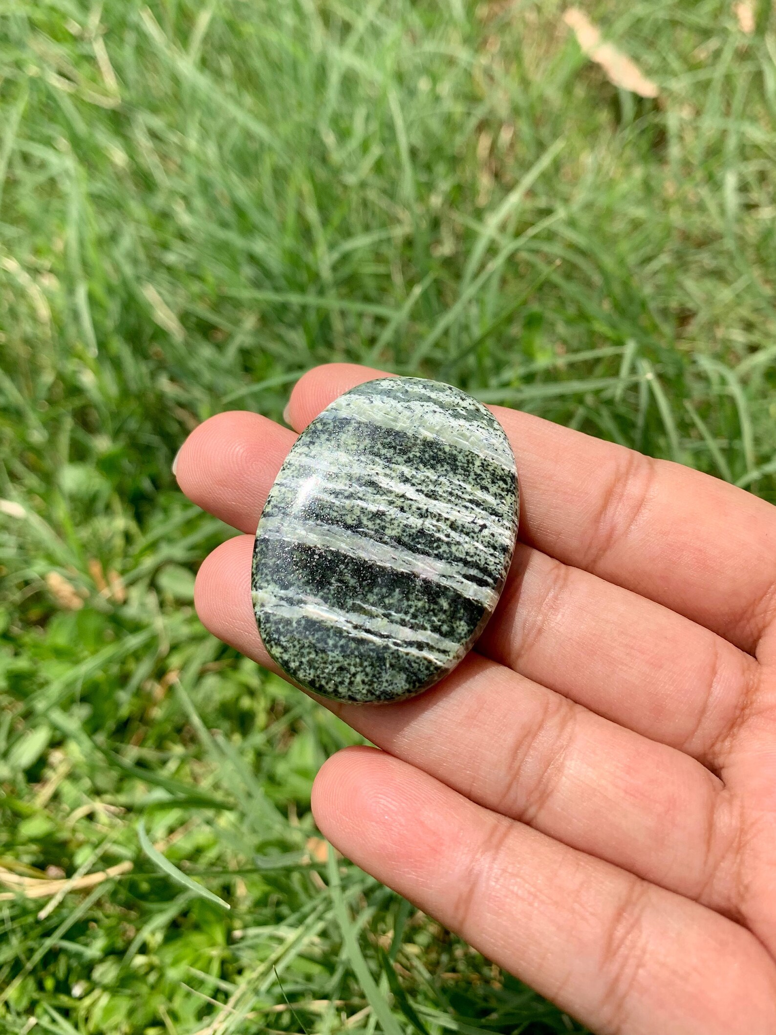 Natural Green Zebra Jasper Cabochon Top Grade Zebra Jasper Etsy