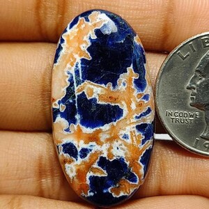 May include: An oval-shaped cabochon gemstone featuring a deep blue base colour with intricate, branching patterns in shades of light orange and white. The stone is positioned next to a United States quarter coin for scale, highlighting its size.