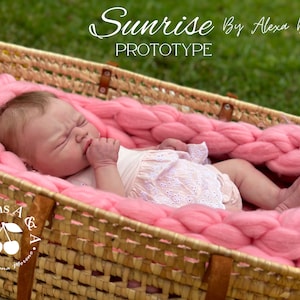 Puede incluir: Una mu&ntilde;eca beb&eacute; realista yace en una cesta tejida, sobre una gruesa manta de punto rosa. La mu&ntilde;eca lleva un atuendo claro con detalles de ojal. El texto "Sunrise By Alexa Berk Prototype" es visible.
