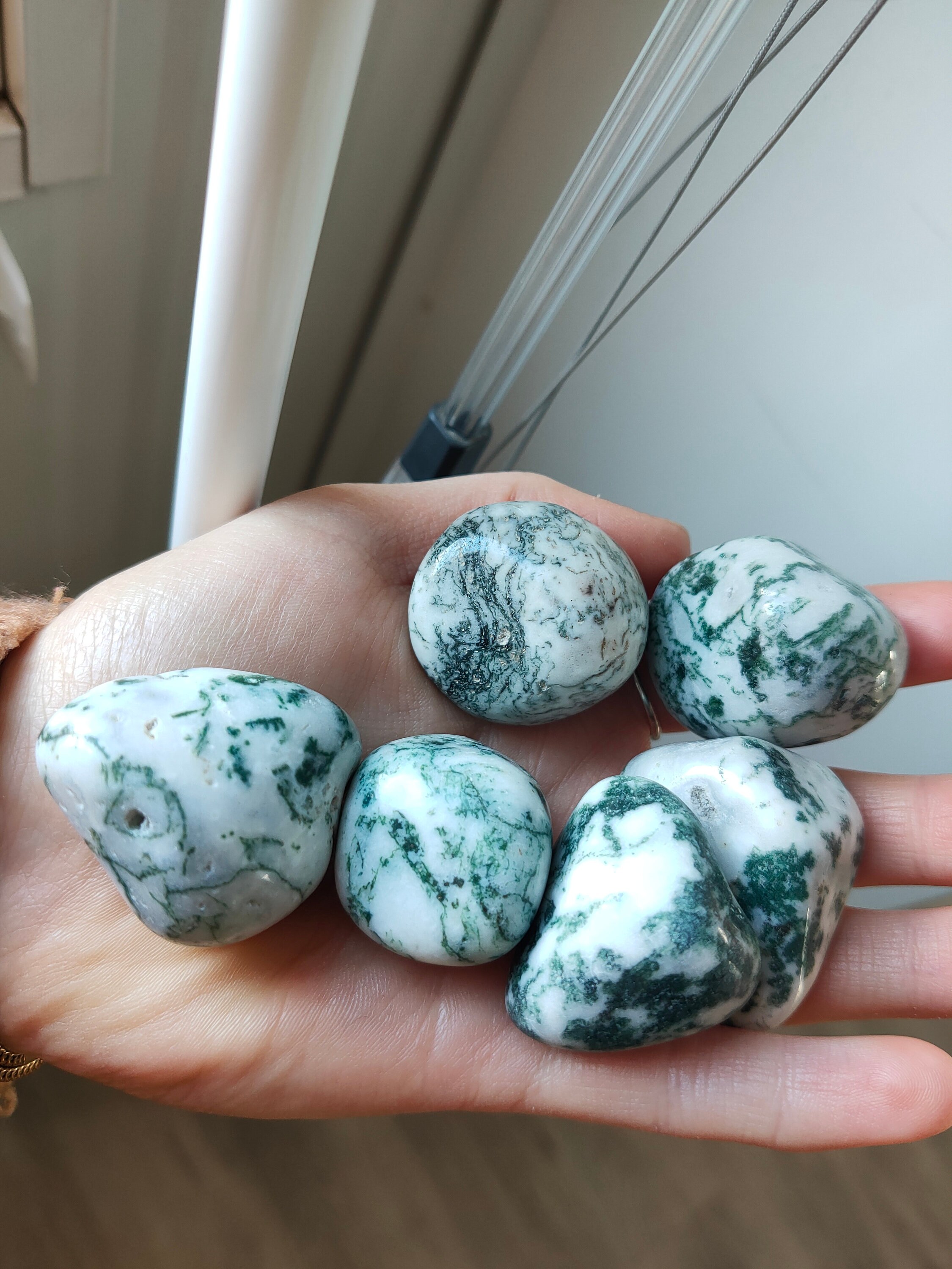 Timbled Tree Tree Agate Tumbled Stone - Anchoring, Stability and Personal Growth ...