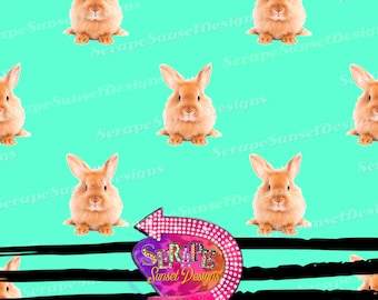 Easter Bunny Seamless Pattern