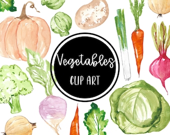 Winter Vegetables Clip art Potato Onion Broccoli Tomato Carrot Pumpkin Watercolor Digital Clipart Download Free Commercial Use PNG