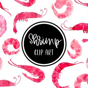 Shrimp Watercolor Handpainted Digital Clip art Clipart Vegetables Seafood Prawn Cameo Crawfish Summer Cards Download Free Commercial Use PNG