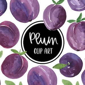 Ciruela acuarela pintada a mano Digital Clip art Clipart Tarjetas de frutas Descargar uso comercial gratuito PNG